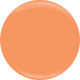 Entity Gel Color – Apricot Beach Bag #619