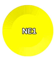 NE#01 – Neon Collection