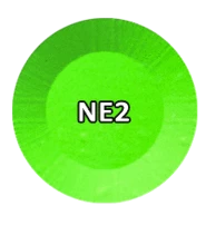 NE#02 – Neon Collection